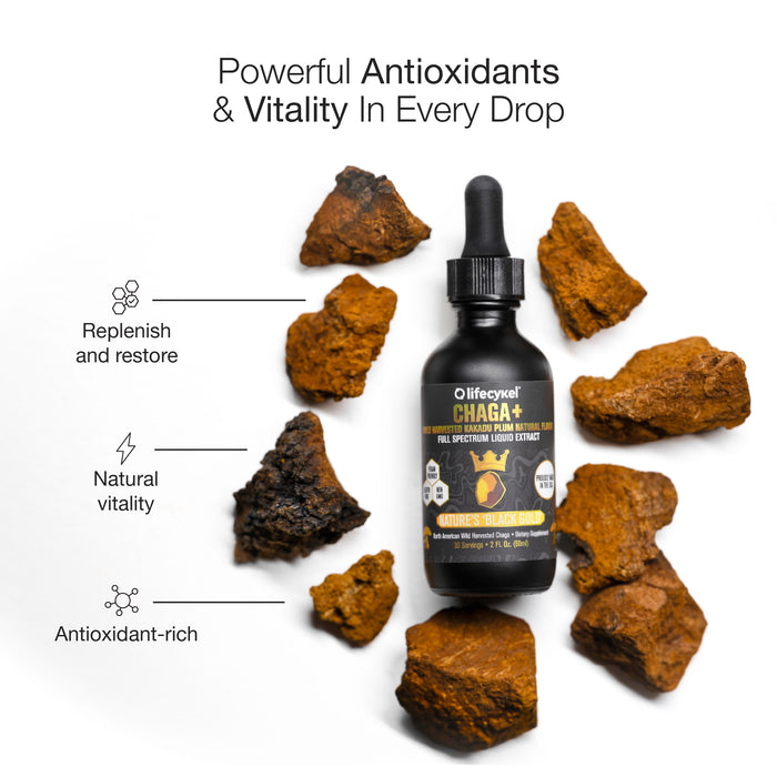 Life Cykel Chaga Mushroom Double Extract