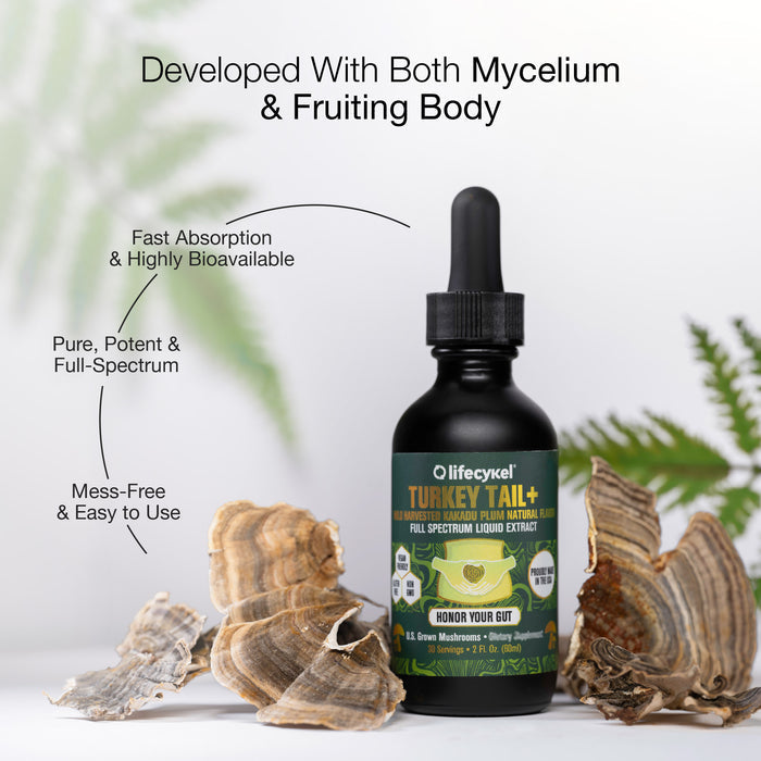 Life Cykel Turkey Tail Mushroom Double Extract