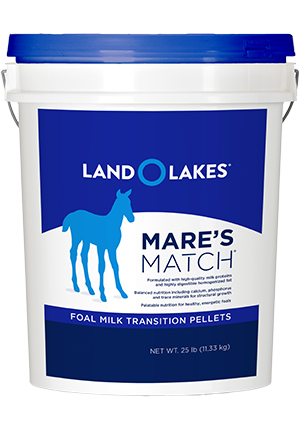 Purina Land O'Lakes Mare’s Match Foal Milk Replacer Foal Transition Pellet Horse Supplement