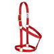 Weaver Basic Non-Adjustable Halter